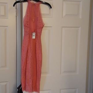 Express Coral Pink Lace Dress